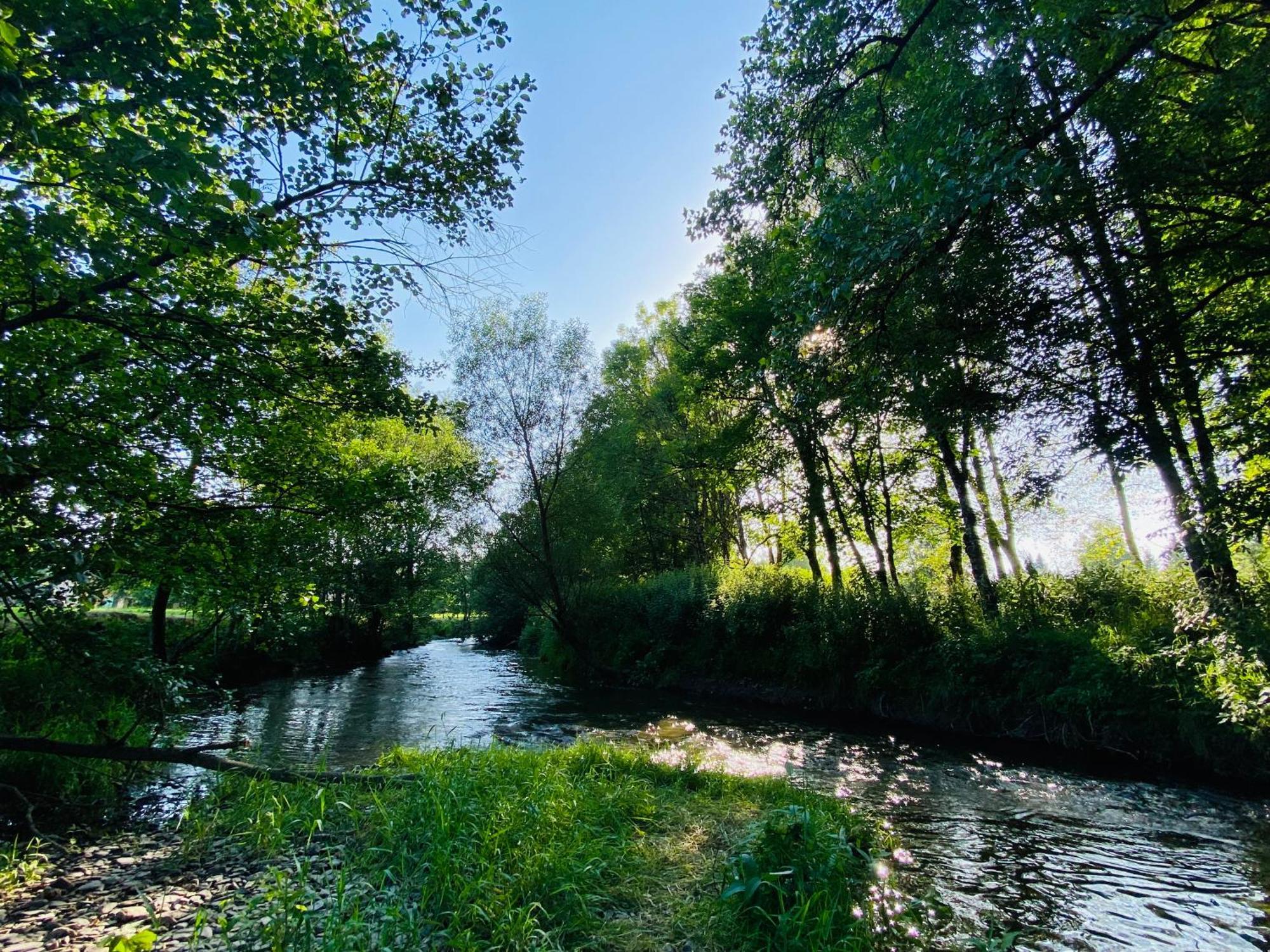 Le Heron - Gite De Charme Cloture, Acces A La Riviere - 6 Ou 10 Personnes Fauvillers Екстериор снимка